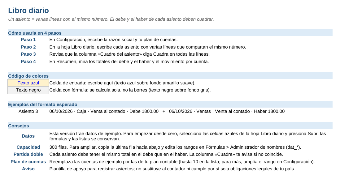 Libro diario: hoja Instrucciones